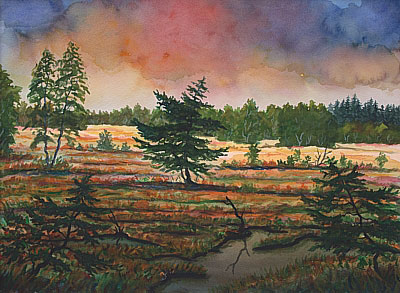 Moor Gemlde vom Kunstmaler Hugo Reinhart  >>Moorsommer Rotes Moor<<